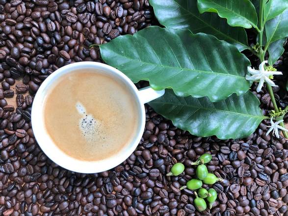 Don Juan Coffee & Chocolate Tour – Arenal, Costa Rica